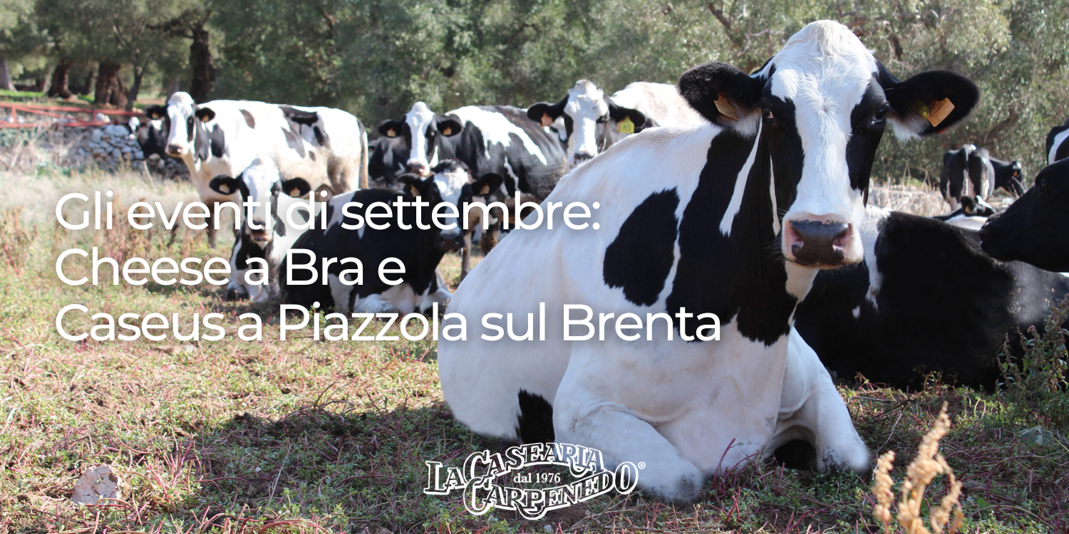 La Casearia Carpenedo ai grandi eventi gourmand di settembre: Cheese a Bra (Cn) e Caseus a Piazzola sul Brenta (Ve)